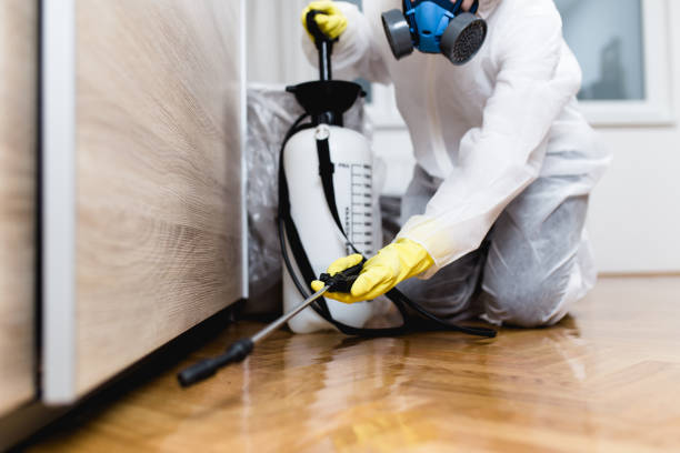 Best Residential Pest Control  in Rockford, IL