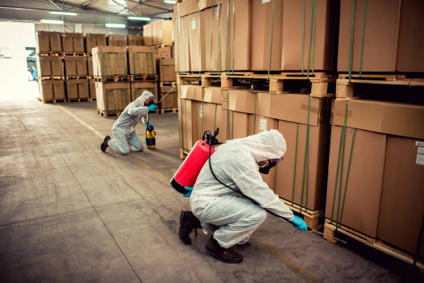  Rockford, IL Pest Control Pros