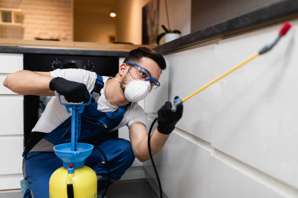 Trusted Rockford, IL Pest Control Experts