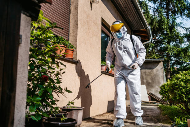 Best Ant Control Services  in Rockford, IL
