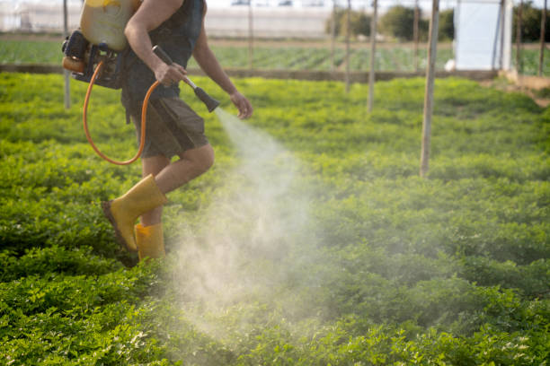 Best Pest Inspection Near Me  in Rockford, IL