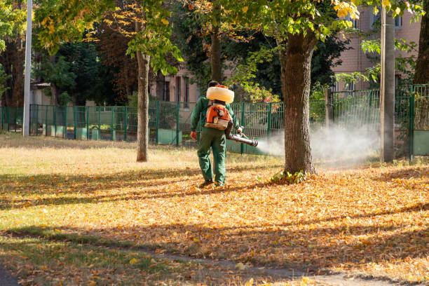 Best Local Pest Control Services  in Rockford, IL
