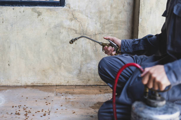 Best Best Pest Control Companies  in Rockford, IL